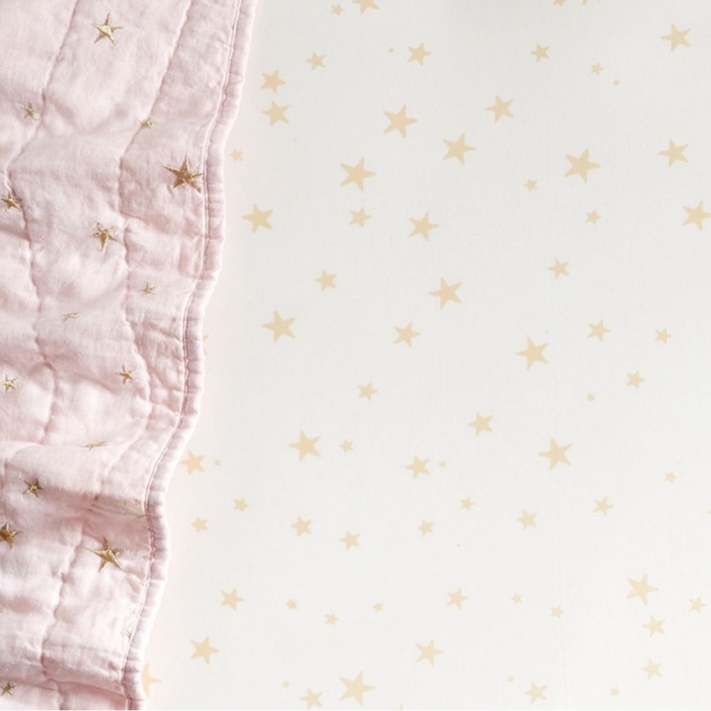 Pottery Barn Baby Emily & Merritt star crib sheet and crib skirt